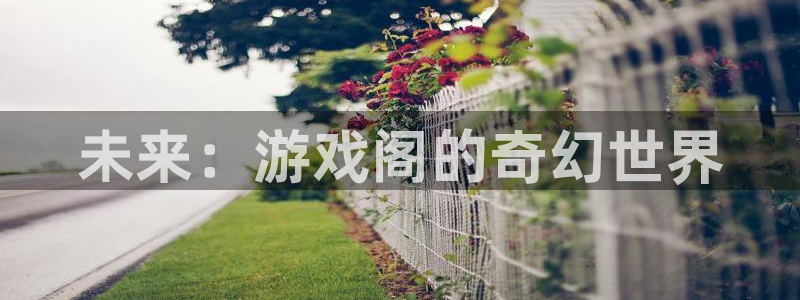 杏悦2平台报名时间