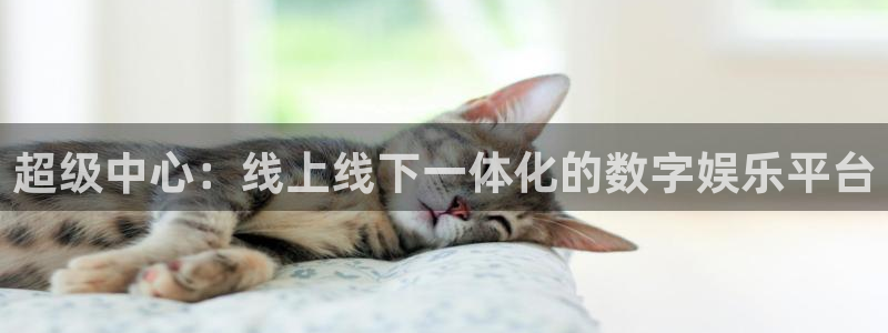 杏悦2测速：超级中心：线上线下一体化的数字娱乐平台