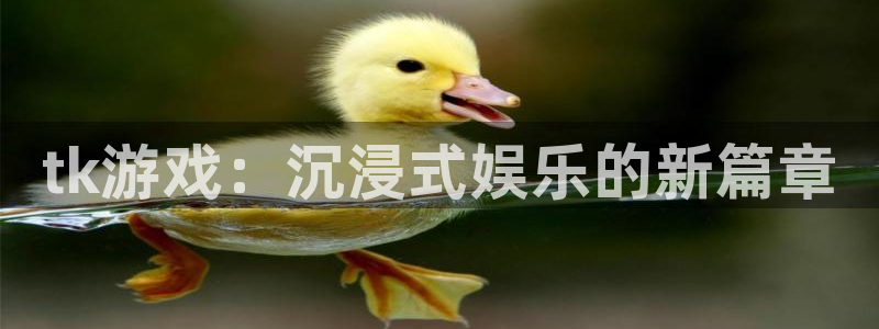 杏悦2代理：tk游戏：沉浸式娱乐的新篇章