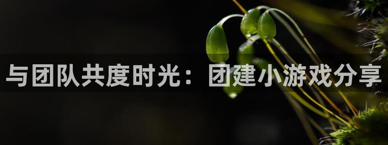 杏悦2注册官网：与团队共度时光：团建小游戏分享