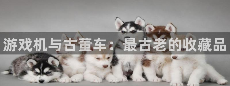 杏悦2官方网站下载