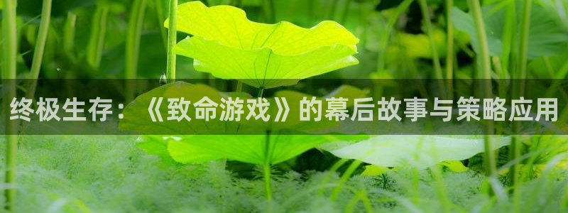 杏悦2vip怎么关闭