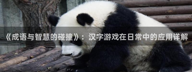 杏悦2平台注册：《成语与智慧的碰撞》：汉字游戏在日常中的应用