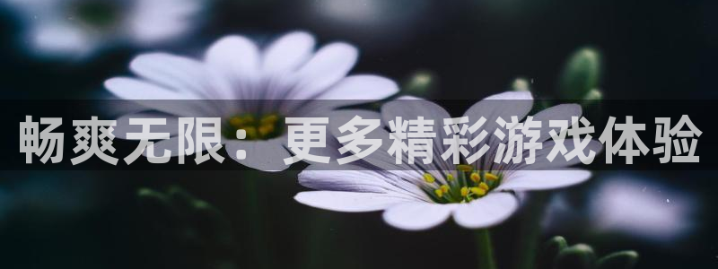 杏悦2旧版本下载