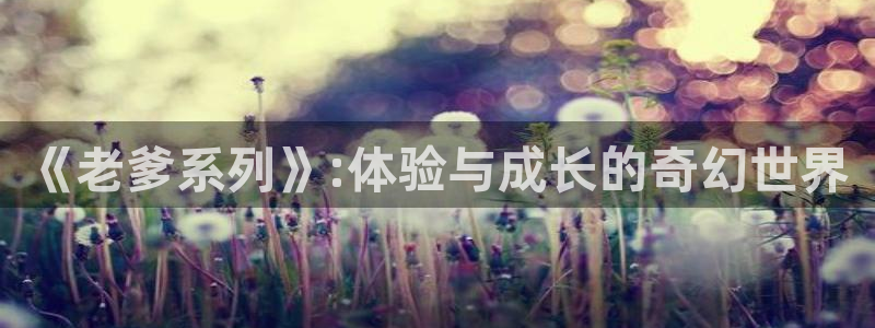 杏悦2平台学科排名