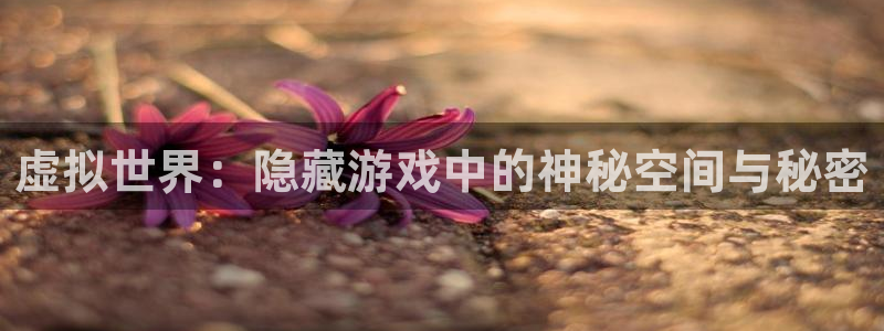 杏悦2APP下载安装：虚拟世界：隐藏游戏中的神秘空间与秘密