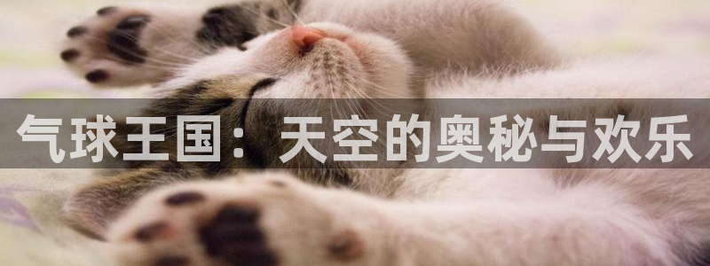 杏悦2代理的介绍：气球王国：天空的奥秘与欢乐