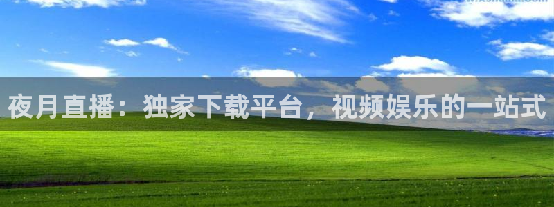 绿茵足球：夜月直播：独家下载平台，视频娱乐的一站式