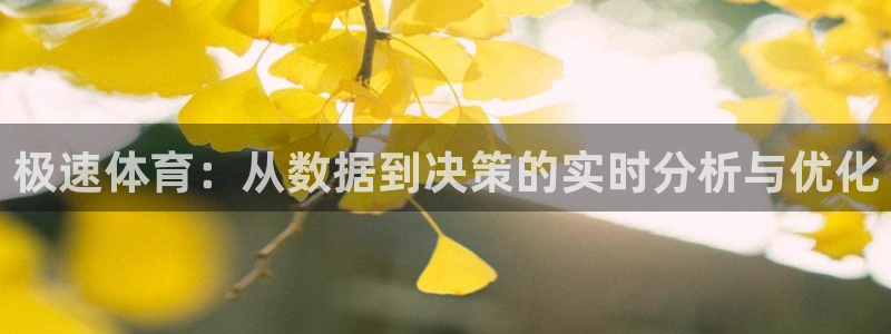 绿茵体育live直播：极速体育：从数据到决策的实时分析与优化