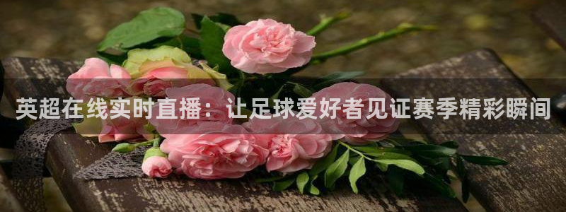 绿茵体育足球免费直播：英超在线实时直播：让足球爱好者见证赛季精彩瞬间