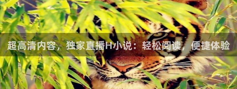 绿茵直播体育nba：超高清内容，独家直播H小说：轻松阅读，便捷体验
