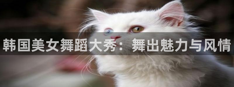 绿茵直播免费看球：韩国美女舞蹈大秀：舞出魅力与风情