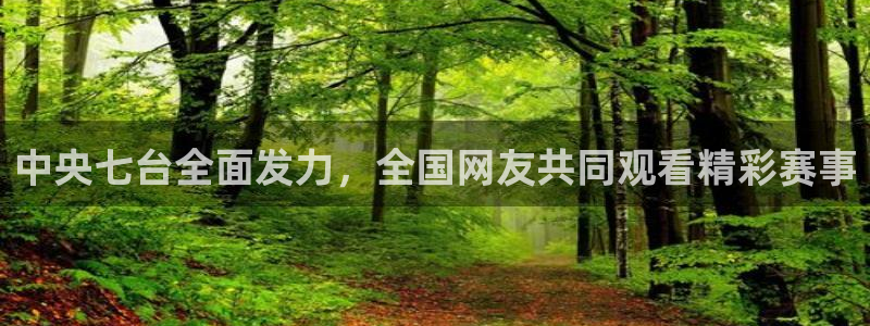 绿茵体育在线观看：中央七台全面发力，全国网友共同观看精彩赛事