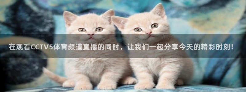 绿茵体育直播9939：在观看CCTV5体育频道直播的同时，让我们一起分享今天的精彩时刻！