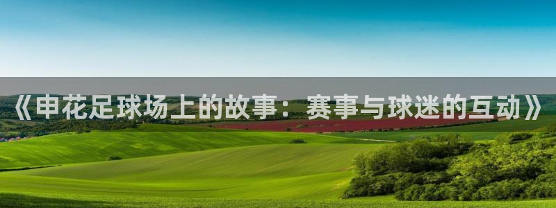 绿茵足球直播：《申花足球场上的故事：赛事与球迷的互动》