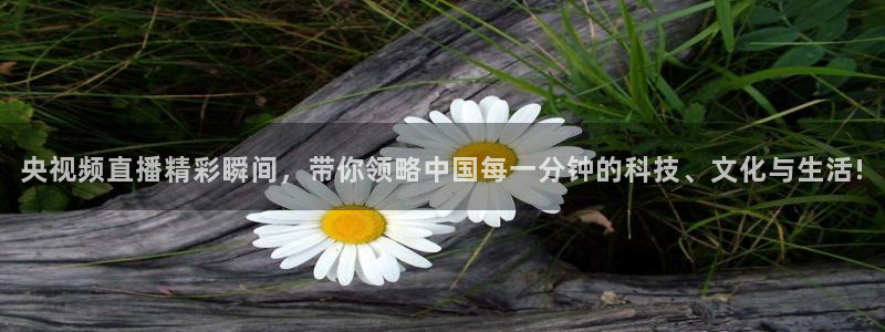 绿茵体育足球免费直播：央视频直播精彩瞬间，带你领略中国每一分钟的科技、文化与生活!