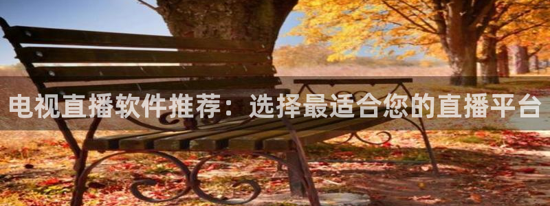 绿茵足球吧：电视直播软件推荐：选择最适合您的直播平台