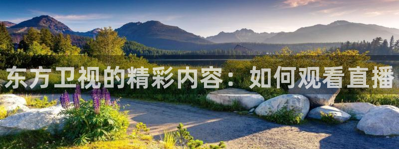 nba直播绿茵直播：东方卫视的精彩内容：如何观看直播